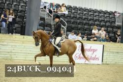 24BUCK_09404 thumbnail