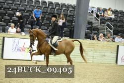 24BUCK_09405 thumbnail