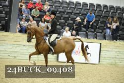 24BUCK_09408 thumbnail