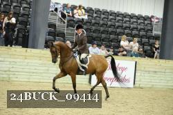 24BUCK_09414 thumbnail