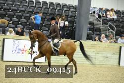 24BUCK_09415 thumbnail