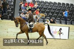 24BUCK_09416 thumbnail