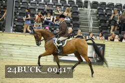 24BUCK_09417 thumbnail