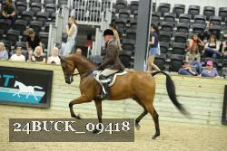 24BUCK_09418 thumbnail