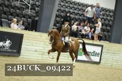 24BUCK_09422 thumbnail