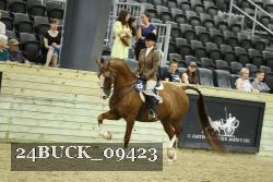 24BUCK_09423 thumbnail