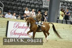 24BUCK_09424 thumbnail