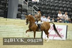 24BUCK_09428 thumbnail