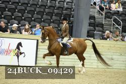 24BUCK_09429 thumbnail