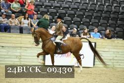 24BUCK_09430 thumbnail