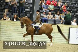 24BUCK_09432 thumbnail