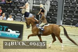 24BUCK_09435 thumbnail