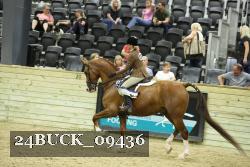 24BUCK_09436 thumbnail