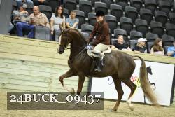 24BUCK_09437 thumbnail
