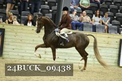 24BUCK_09438 thumbnail