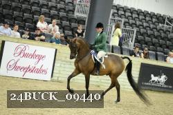 24BUCK_09440 thumbnail