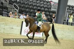 24BUCK_09442 thumbnail