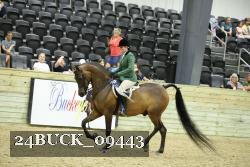 24BUCK_09443 thumbnail