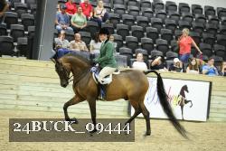 24BUCK_09444 thumbnail