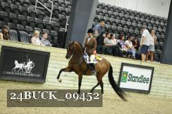24BUCK_09452 thumbnail