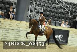 24BUCK_09453 thumbnail