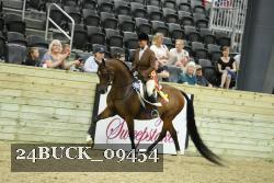 24BUCK_09454 thumbnail