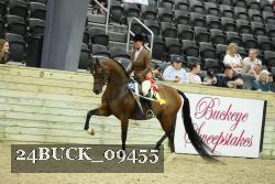 24BUCK_09455 thumbnail