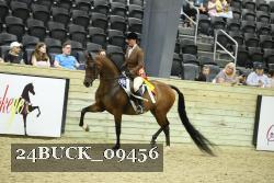 24BUCK_09456 thumbnail