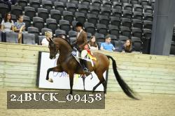 24BUCK_09458 thumbnail
