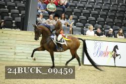 24BUCK_09459 thumbnail