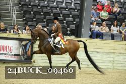 24BUCK_09460 thumbnail
