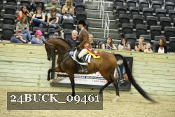 24BUCK_09461 thumbnail