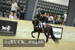 24BUCK_09466 thumbnail