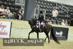 24BUCK_09468 thumbnail