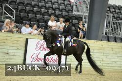 24BUCK_09471 thumbnail