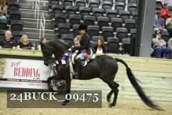 24BUCK_09475 thumbnail