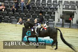 24BUCK_09477 thumbnail