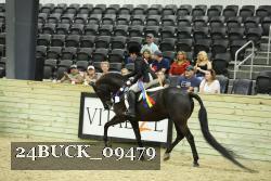 24BUCK_09479 thumbnail