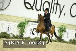 24BUCK_09484 thumbnail