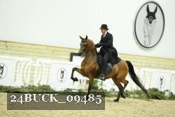 24BUCK_09485 thumbnail
