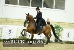 24BUCK_09486 thumbnail