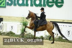 24BUCK_09488 thumbnail