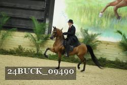 24BUCK_09490 thumbnail