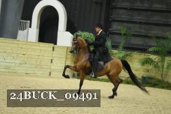 24BUCK_09491 thumbnail