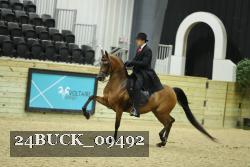 24BUCK_09492 thumbnail