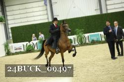24BUCK_09497 thumbnail