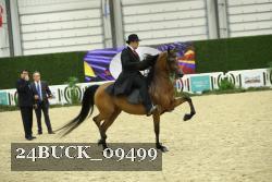 24BUCK_09499 thumbnail