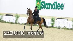 24BUCK_09500 thumbnail