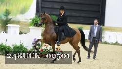 24BUCK_09501 thumbnail