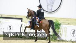24BUCK_09502 thumbnail